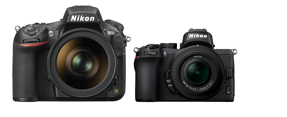 Nikon Z50 vs D810 Comparison — Mike Prince